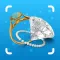 Jewelry Identifier