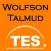 Wolfson Talmud
