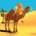 Camel Simulator