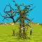 Tree Simulator