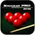 Snooker Pro 2015