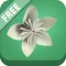 iOrigami - How to make origami flowers?
