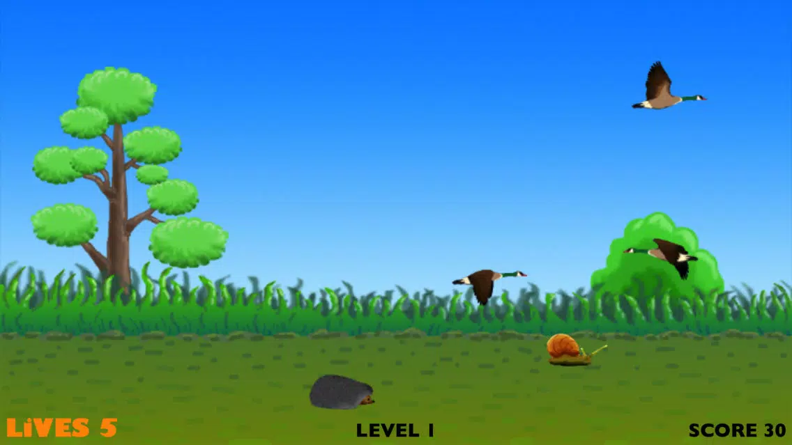 Real Duck Hunting Ekran Görüntüleri