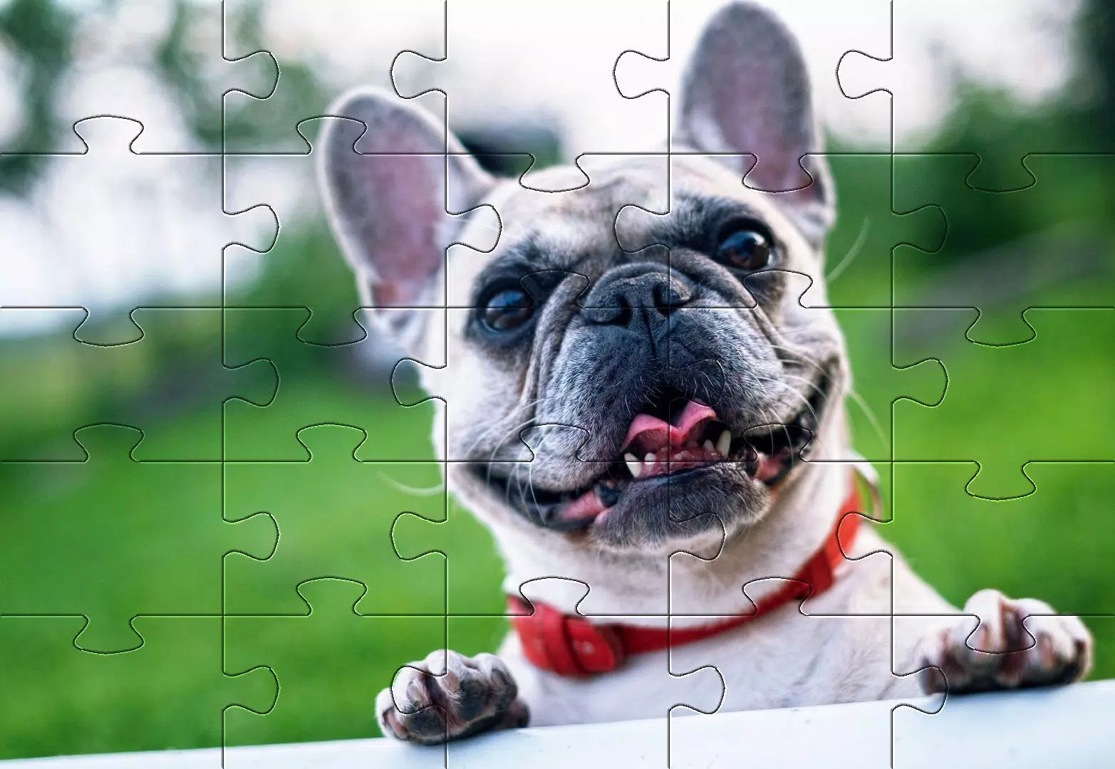 Dogs jigsaw puzzles Screenshots