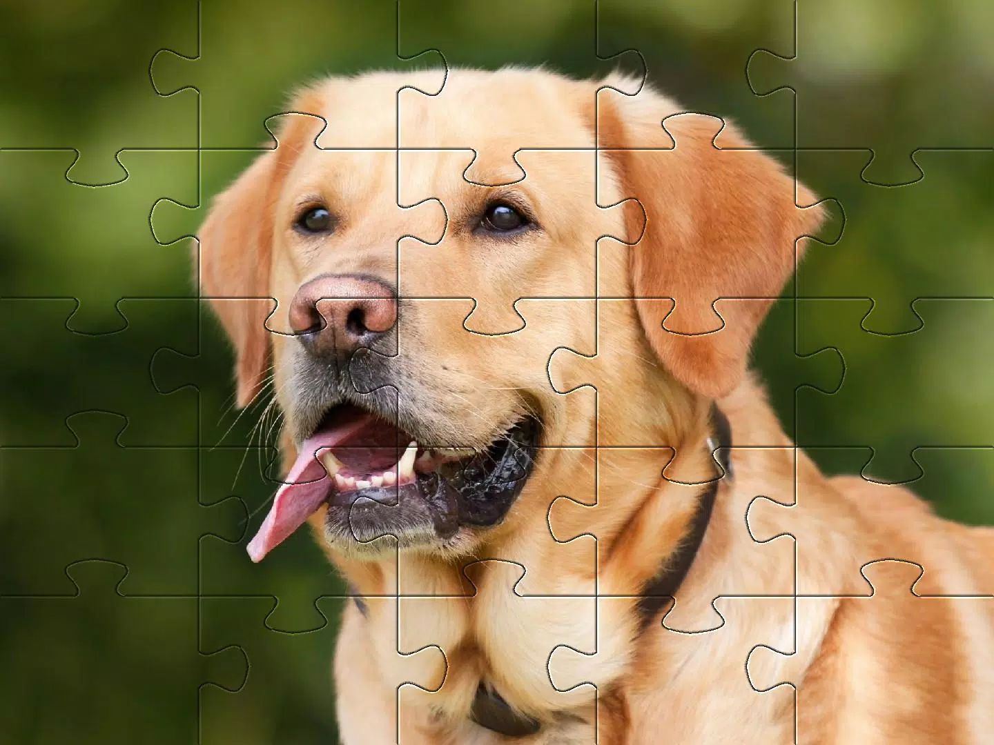 Dogs jigsaw puzzles Screenshots