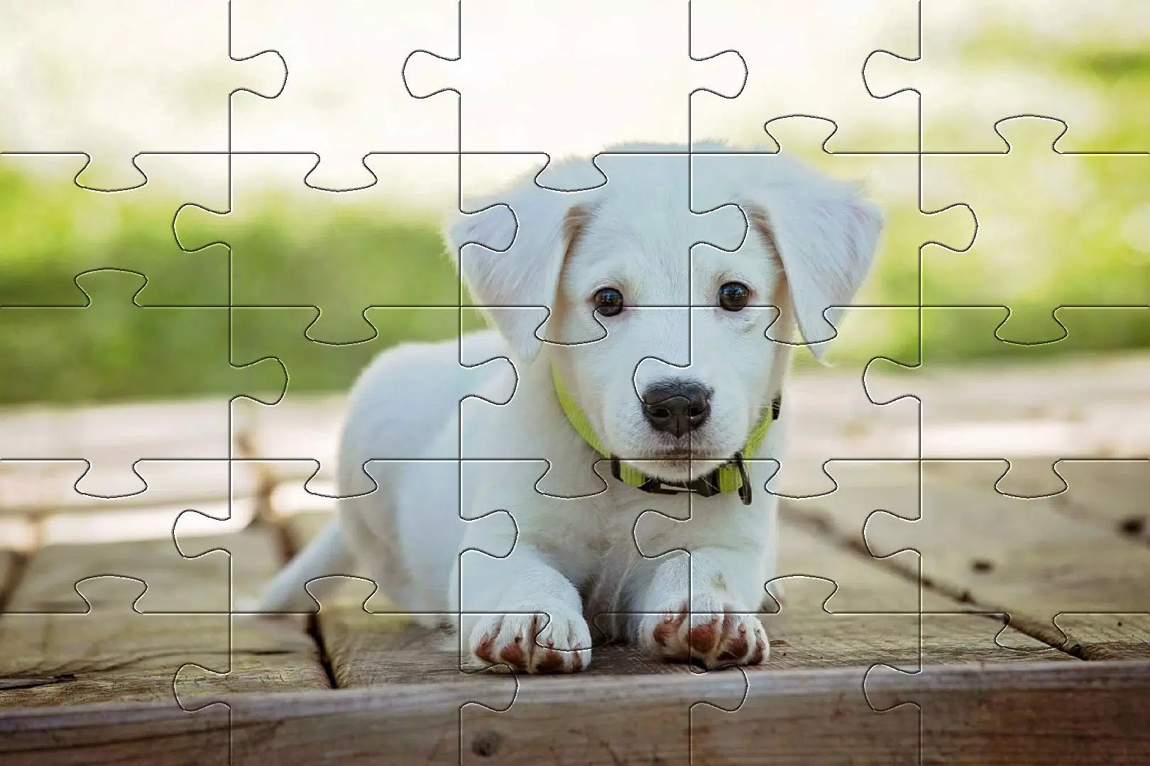 Dogs jigsaw puzzles Screenshots