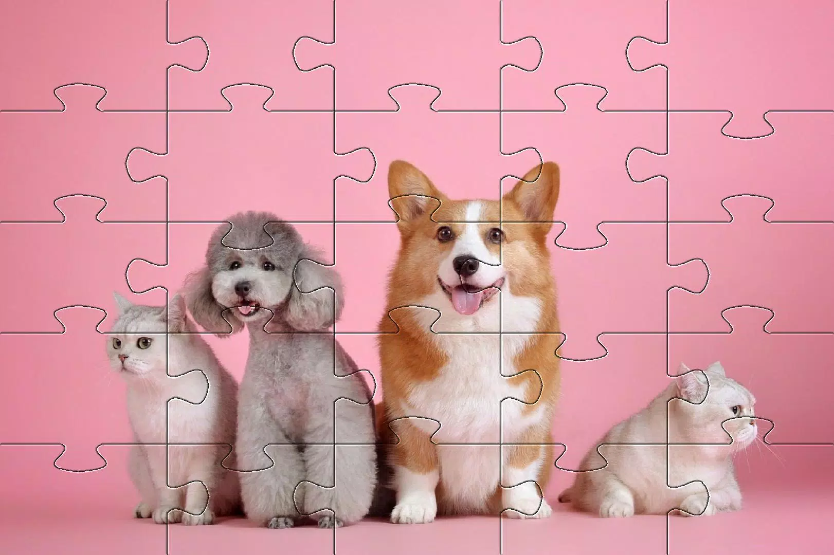 Dogs jigsaw puzzles Screenshots