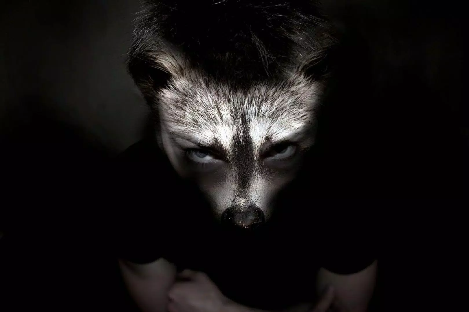 Werewolf Jigsaw Puzzles Screenshots
