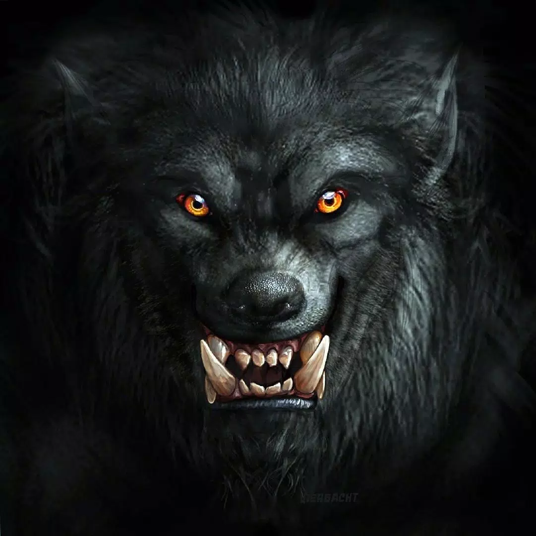 Werewolf Jigsaw Puzzles Screenshots