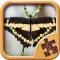 Butterfly Jigsaw Puzzles - Cool Puzzle Games