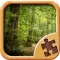 Forest Puzzle Game - Nature Picture Jigsaw Puzzles