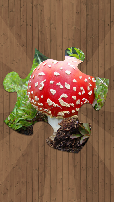 Jigsaw Puzzles - Logical Game for Kids and Adults Screenshots
