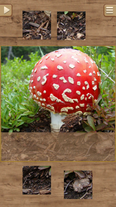 Jigsaw Puzzles - Logical Game for Kids and Adults Screenshots