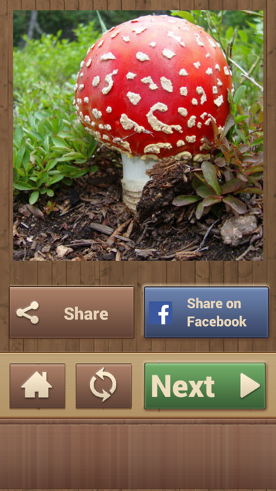 Jigsaw Puzzles - Logical Game for Kids and Adults Screenshots