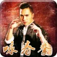 咏春拳-入门到高手，武术名家详细视频教学