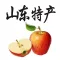 山东土特产精选HD 孔子故乡海洋物语齐鲁商品