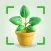 AI Plant Identifier& Diagnosis