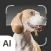 Dog Identifier: AI Scanner