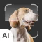 Dog Identifier: AI Scanner