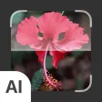 Plant Identifier: AI Scanner