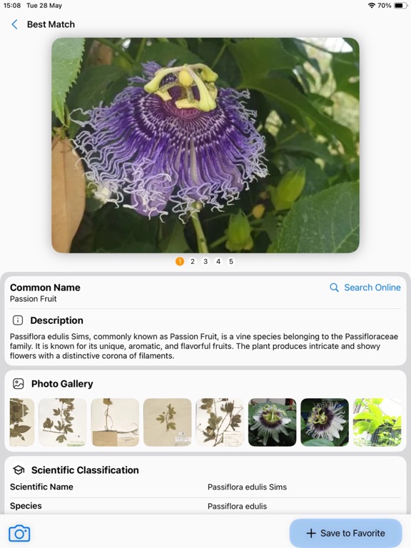 Plant Identifier: AI Scanner iPad Screenshots