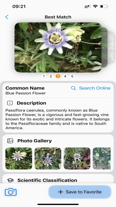 Plant Identifier: AI Scanner Screenshots