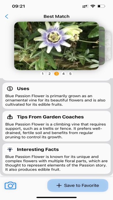 Plant Identifier: AI Scanner Screenshots