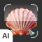 Shell Identifier: AI Scanner