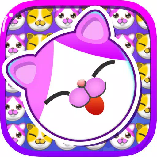 Cats to play—the most fun game Cats to play—the most fun game