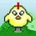 Chick n Run