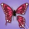Bug Art!