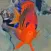 Tahiti Fish ID