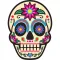 Skull Art