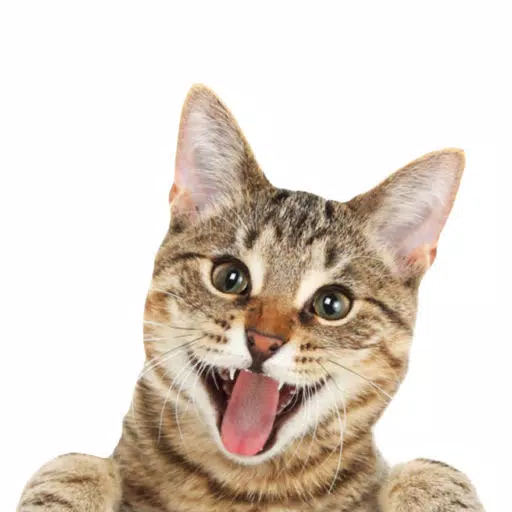 Cat Sticky Cat Sticky
