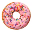 Donut Dozen