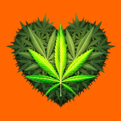 High Together High Together