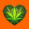 High Together