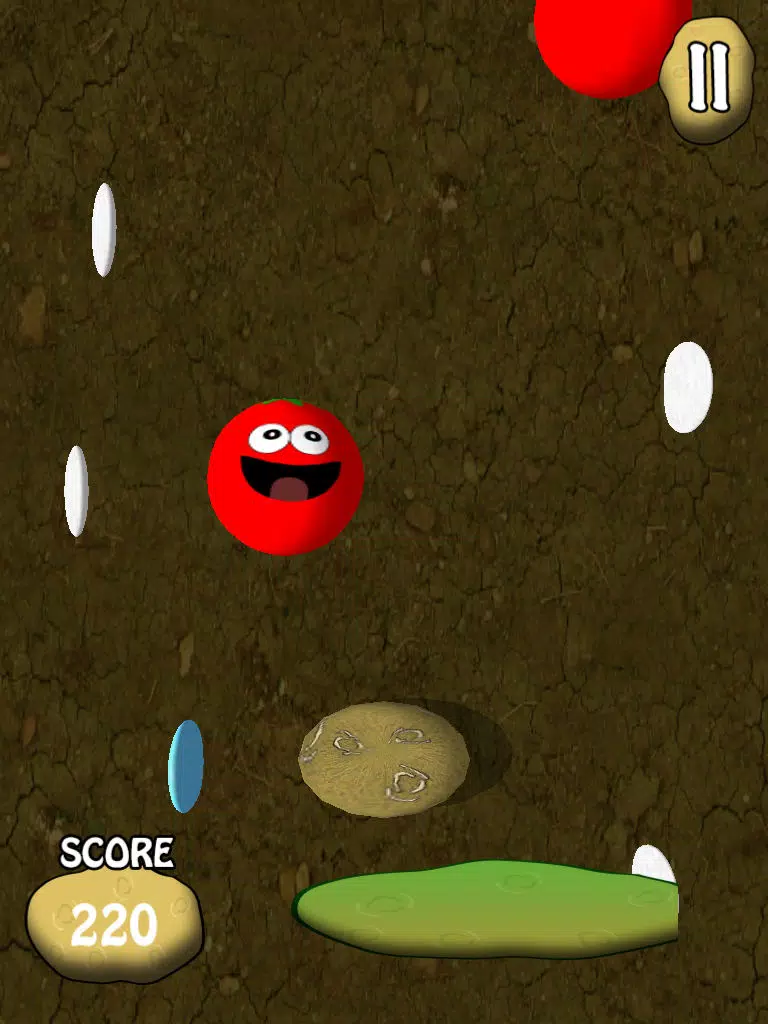 Potato Balls iPad 应用截图