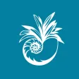 Seabrook Island Club