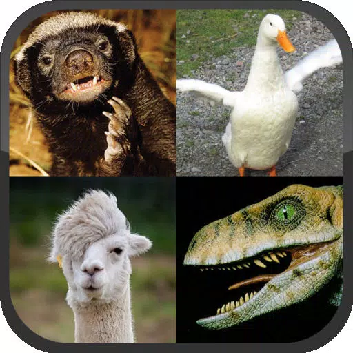 Llama or Duck or Honey Badger or Raptor? Llama or Duck or Honey Badger or Raptor?