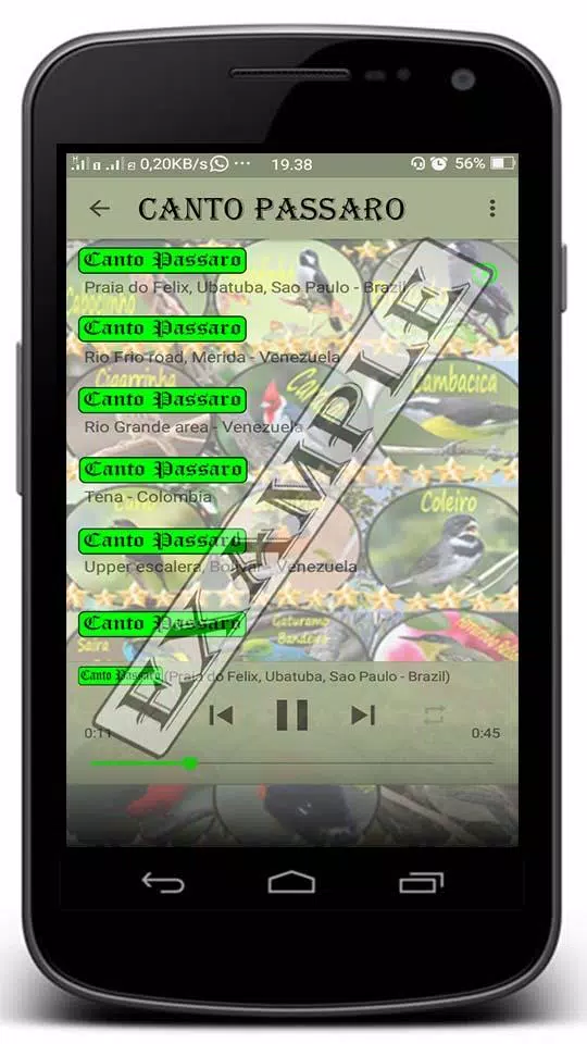 Capturas de pantalla de Canto Juriti Gemedeira