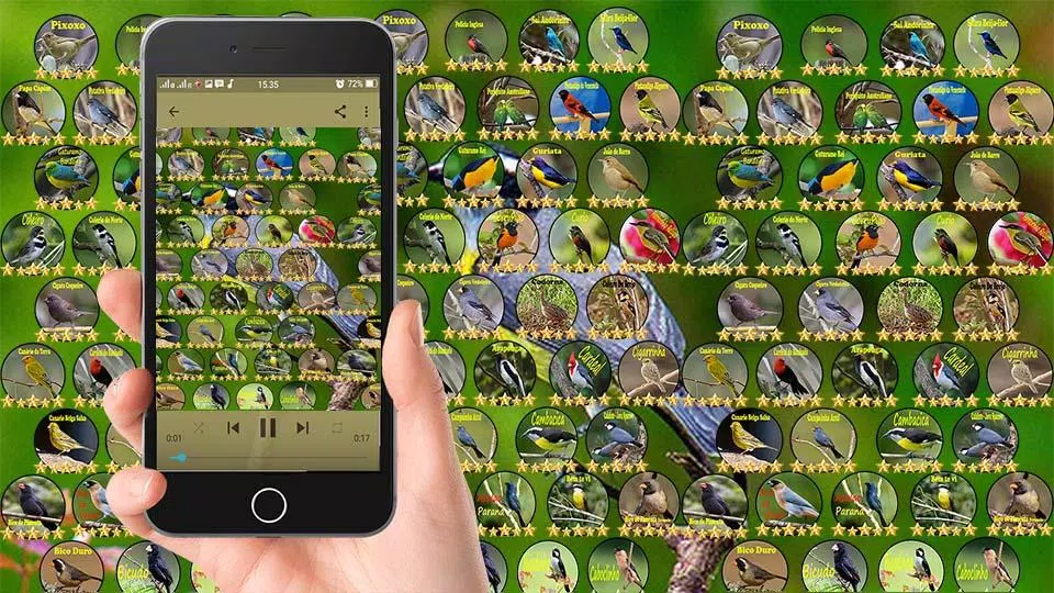 Capturas de pantalla de Canto Juriti Gemedeira