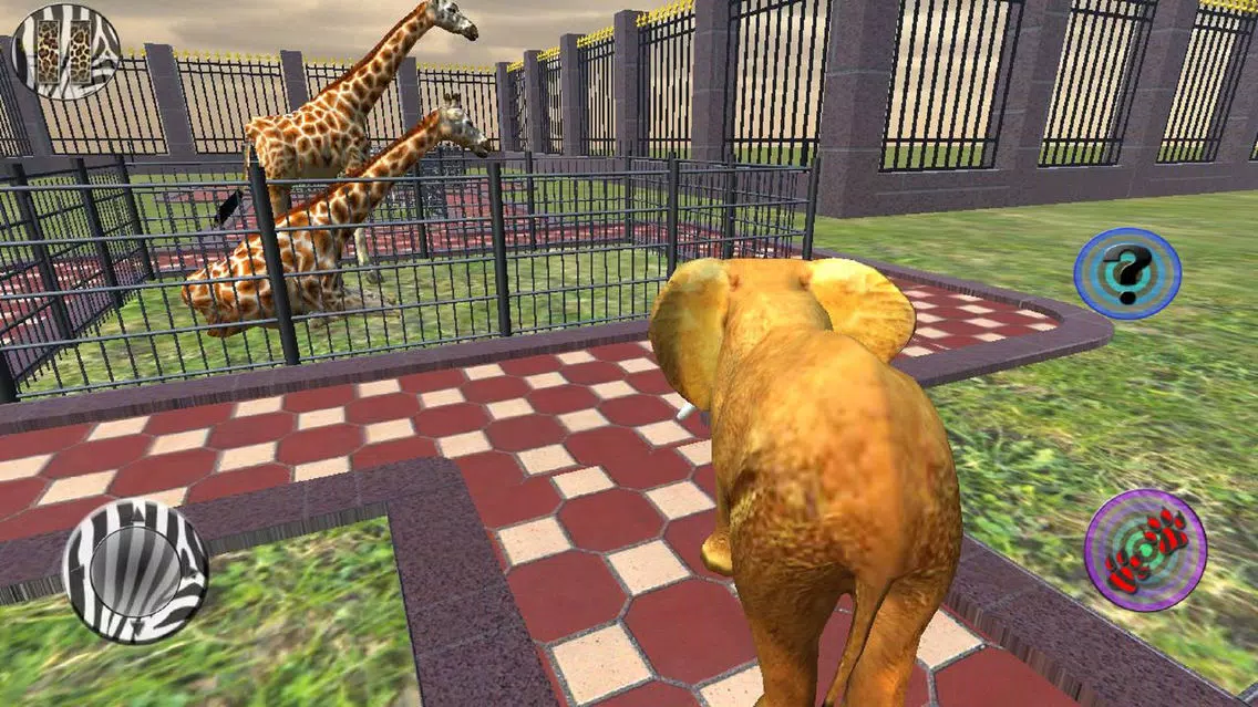 Trip to Zoo Safari Free Screenshots