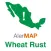 alerMAP Roya Trigo