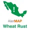 alerMAP Roya Trigo