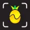 Nutrify: Whole Food Tracker