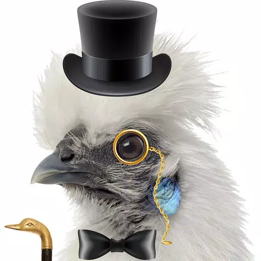 Fancy Birds Fancy Birds