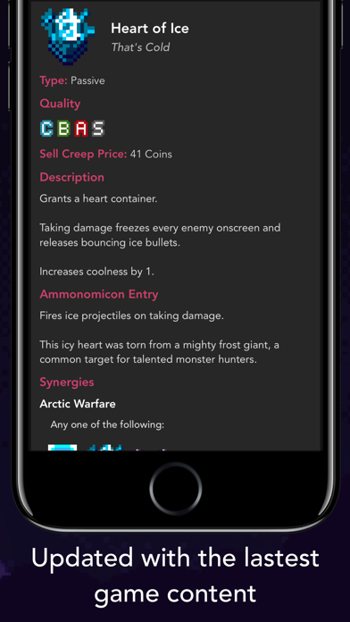 Guide + for Enter the Gungeon Screenshots