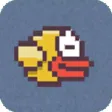A Splashy Bird : Season 2