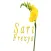 Sarı Frezya